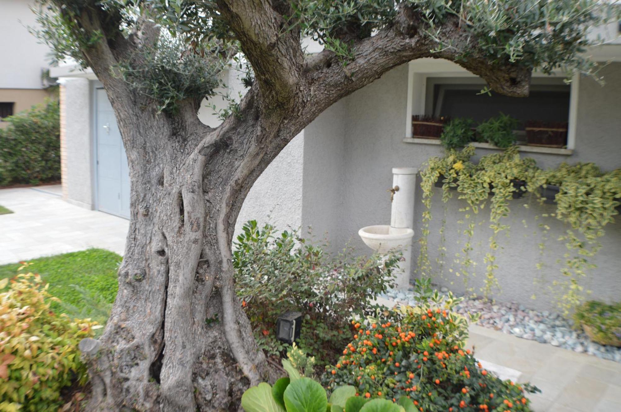 Ca' Olivo Mogliano Vêneto Exterior foto