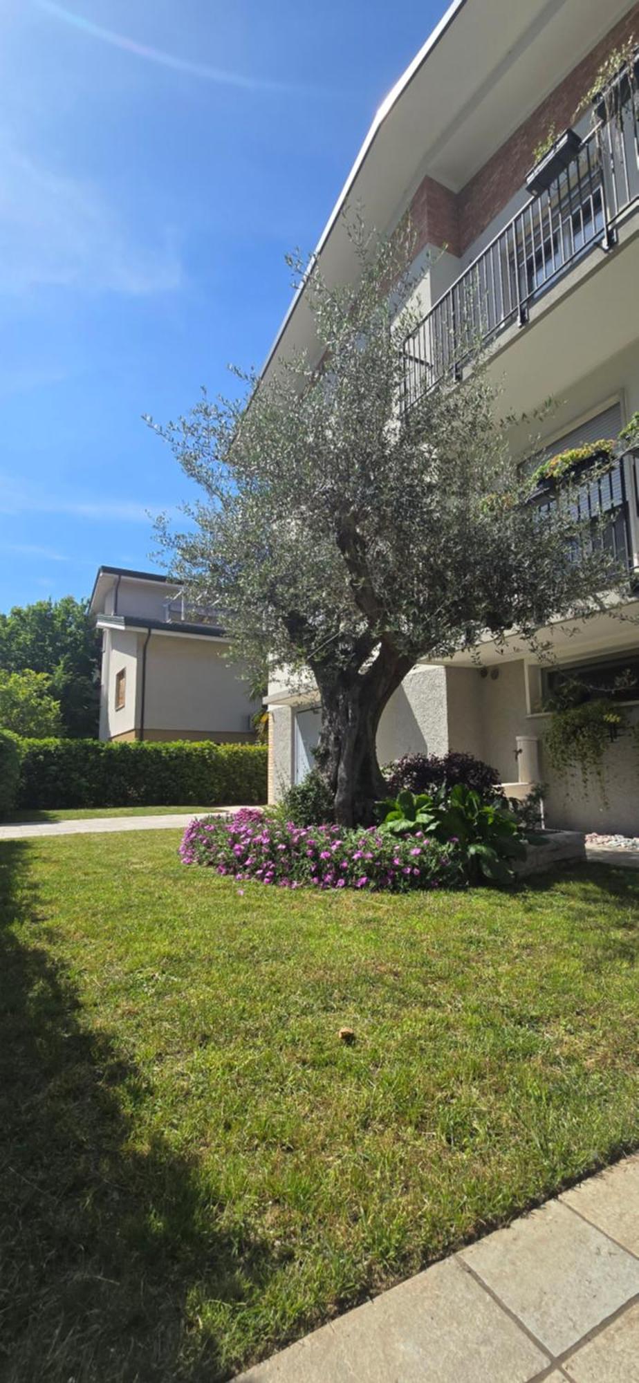 Ca' Olivo Mogliano Vêneto Exterior foto