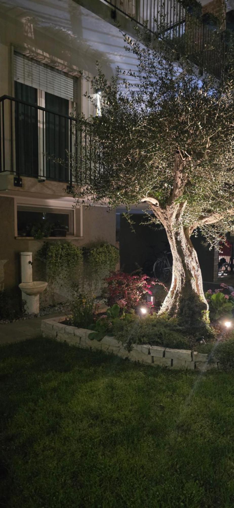 Ca' Olivo Mogliano Vêneto Exterior foto